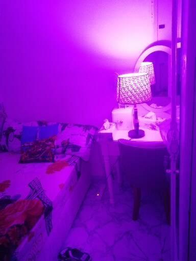 Apartment Adex Cool